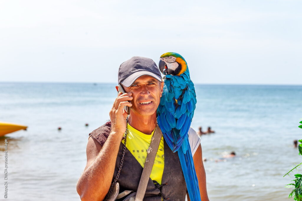 Мужчина с попугаем на пляже