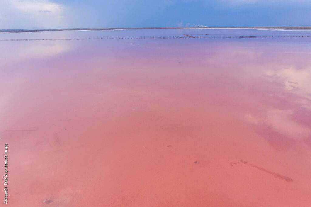Розовое озеро в Приозерном